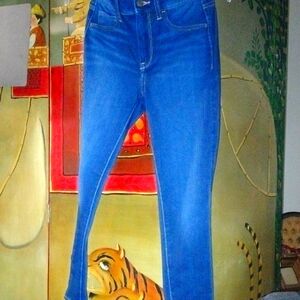 Banana Republic Women's Blue Skinny Jeans